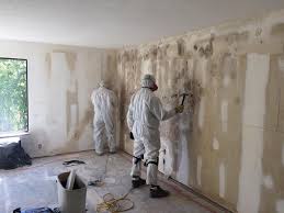 Mold Documentation for Insurance Claims in Haskell, TX